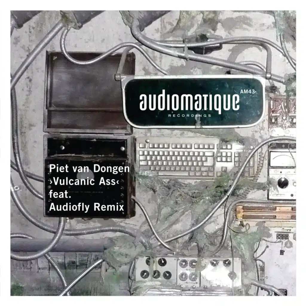 Vulcanic Ass (Audiofly Remix)