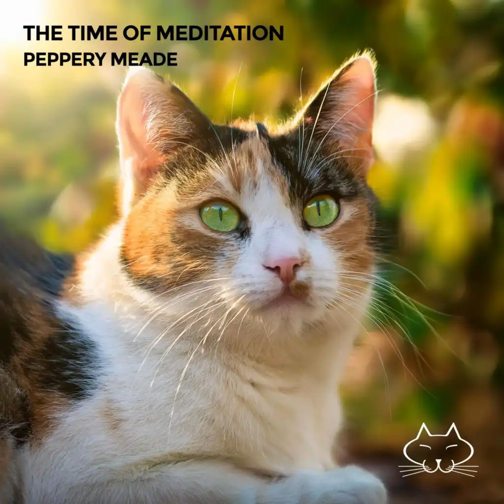 The Time Of Meditation