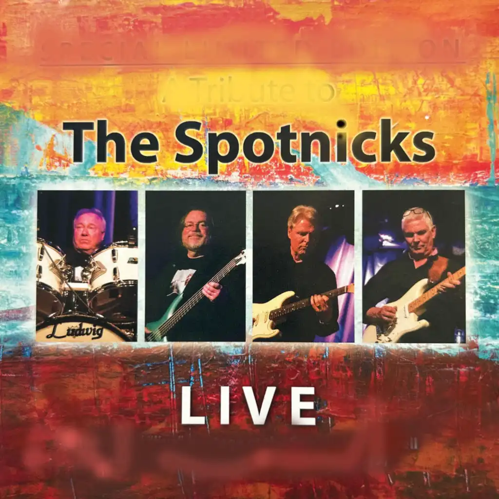 The Spotnicks