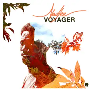Voyager (Mowlo Remix)