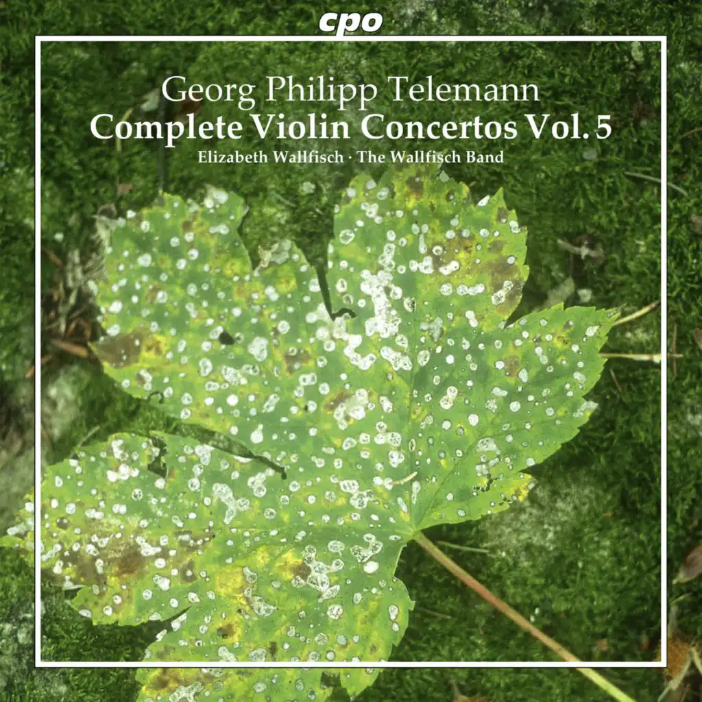 Concerto for 2 violins in E Minor, TWV 52:E4: III. Adagio