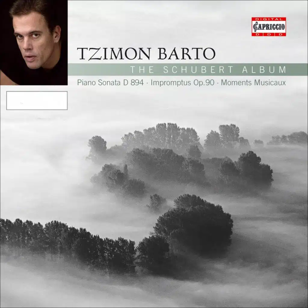 Piano Sonata No. 18 in G Major, Op. 78, D. 894: I. Molto moderato e cantabile