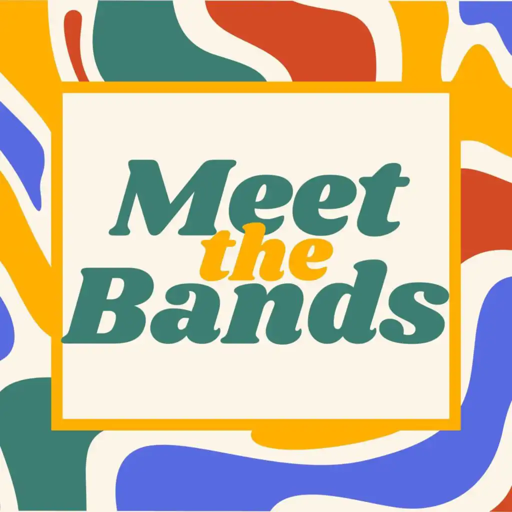 Meet the Bands