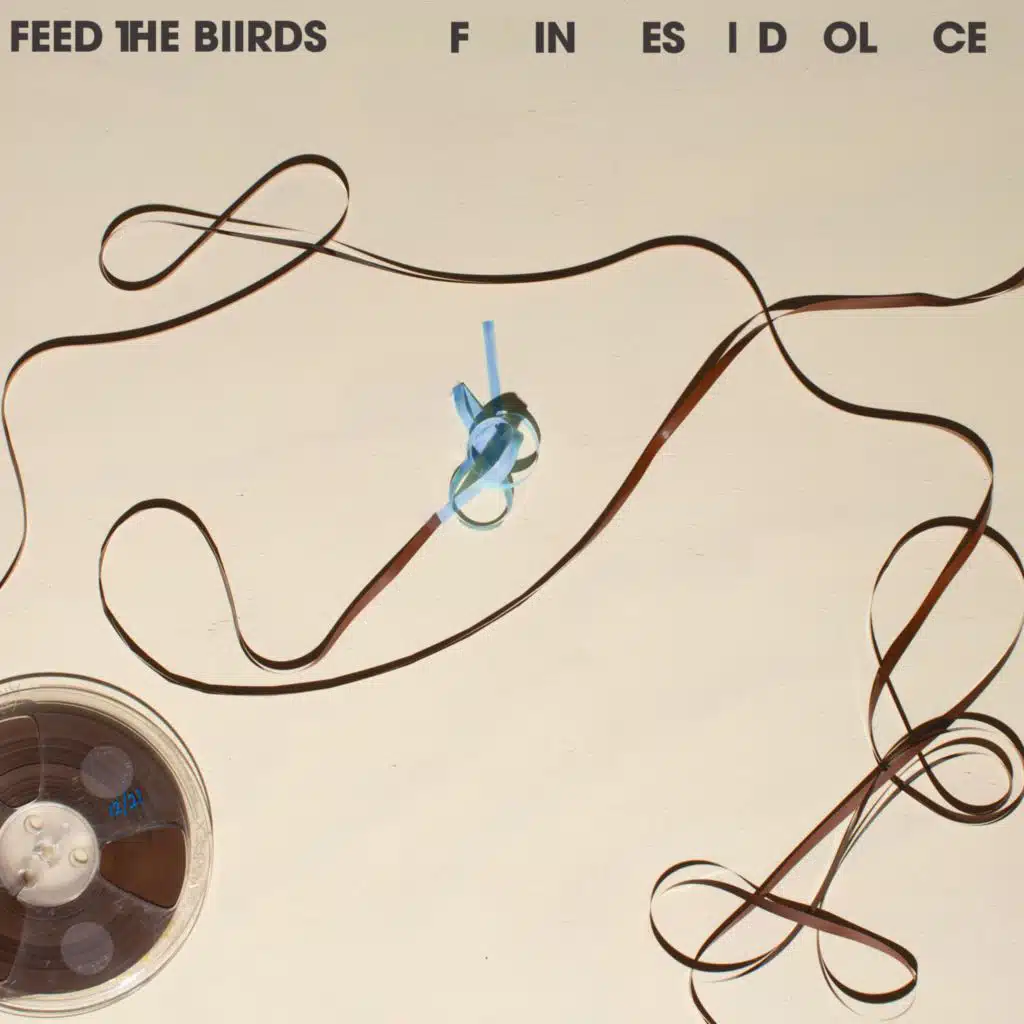 Feed The Biirds