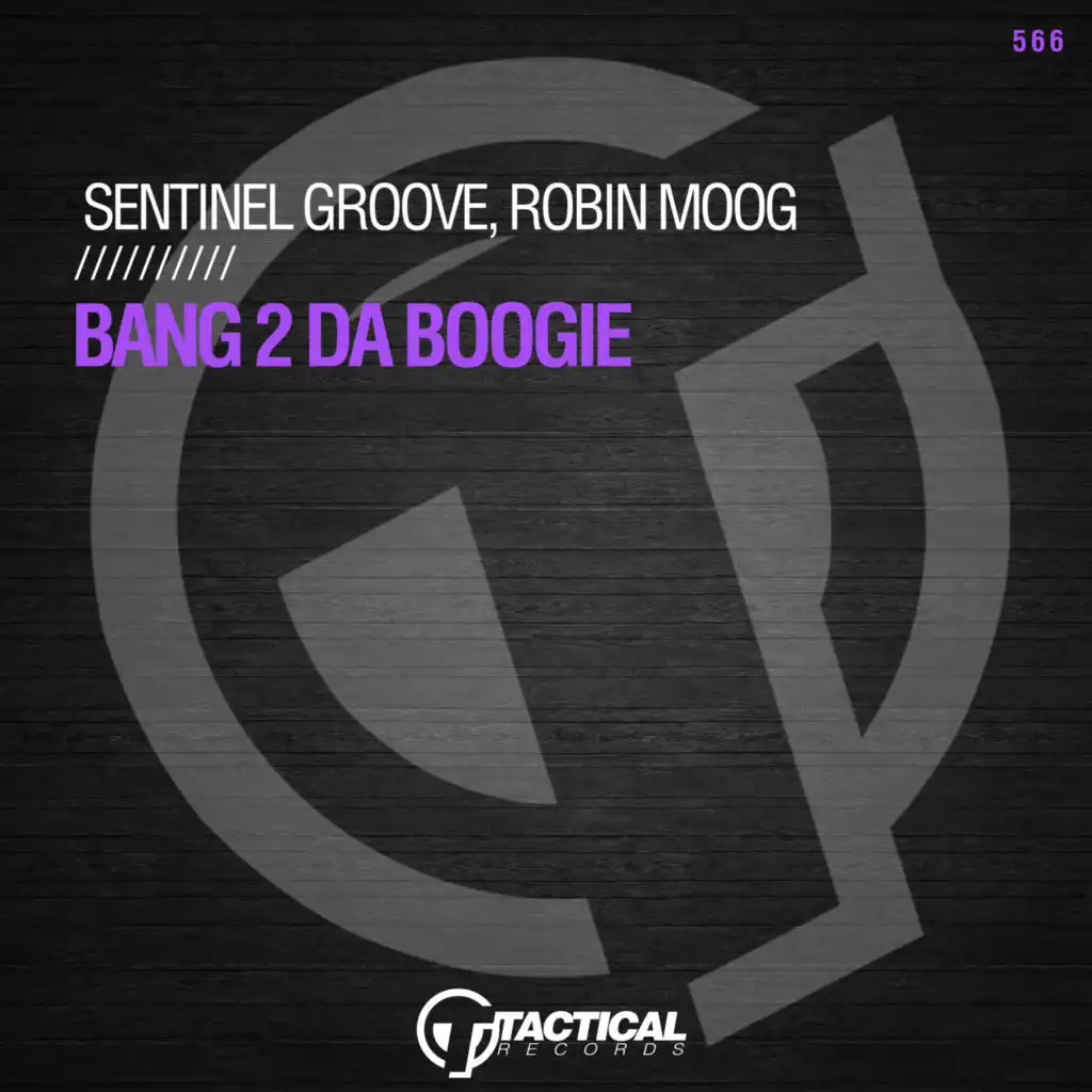 Sentinel Groove & Robin Moog