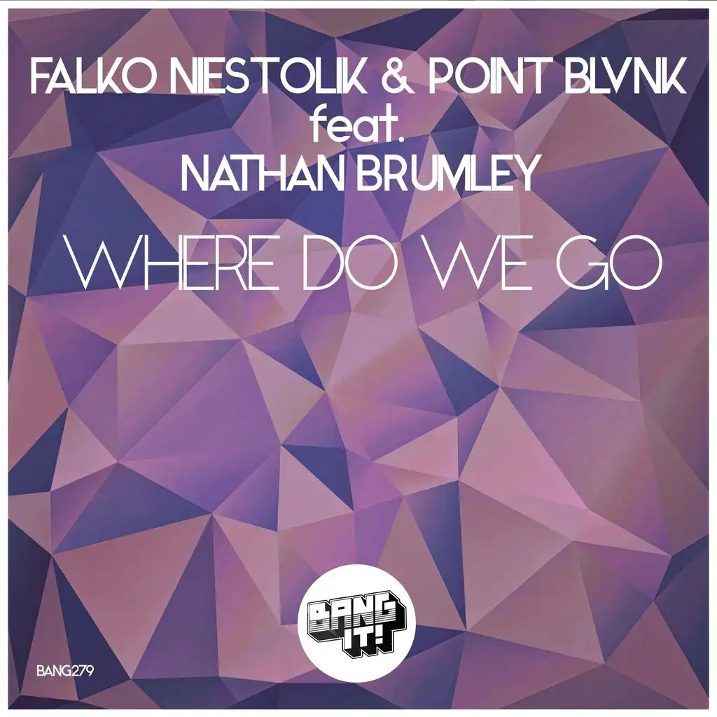 Where Do We Go (Radio Edit) [feat. Nathan Brumley]