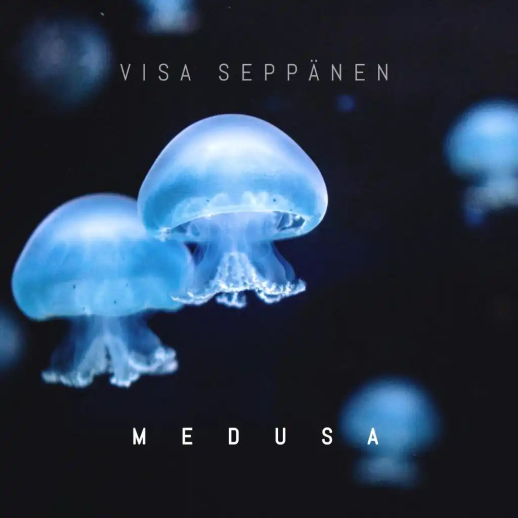 Visa Seppänen