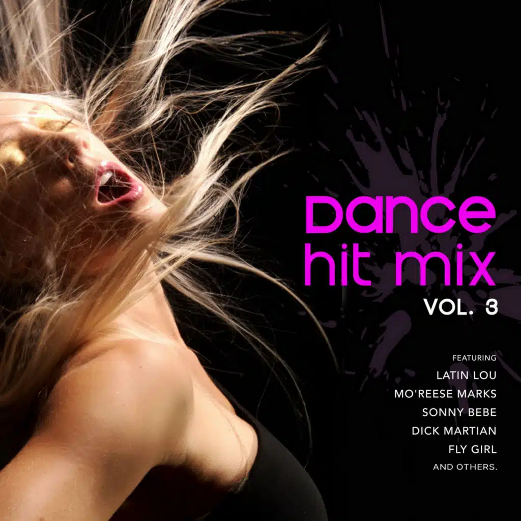 Dance Mix Hits Vol. 3