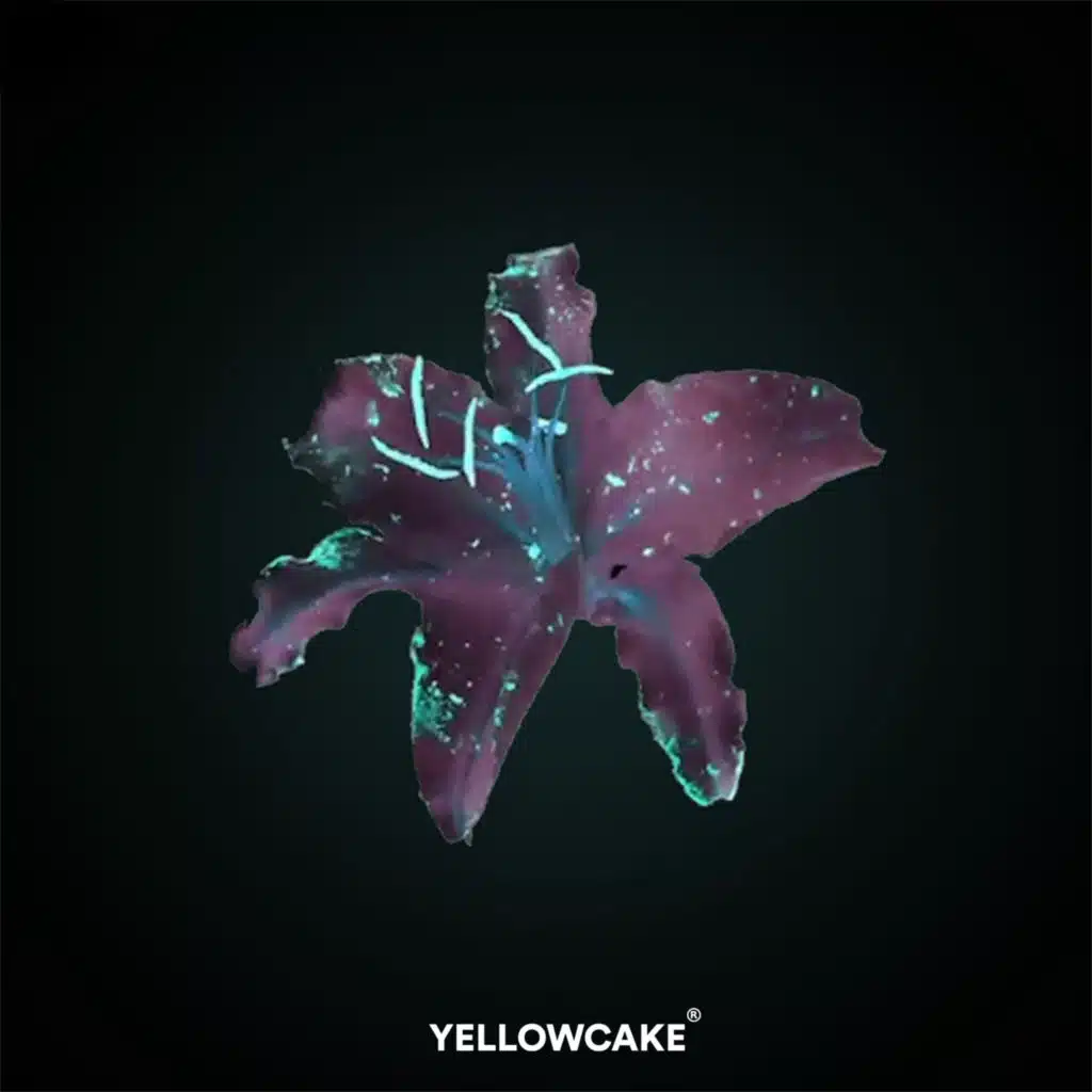 Lule Lule (Cricket Remix)