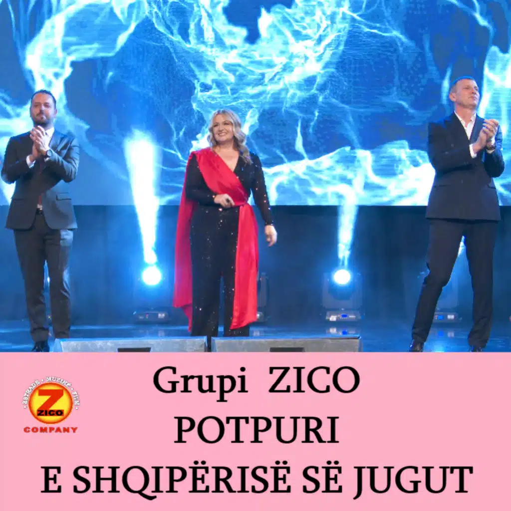 Grupi ZICO Company