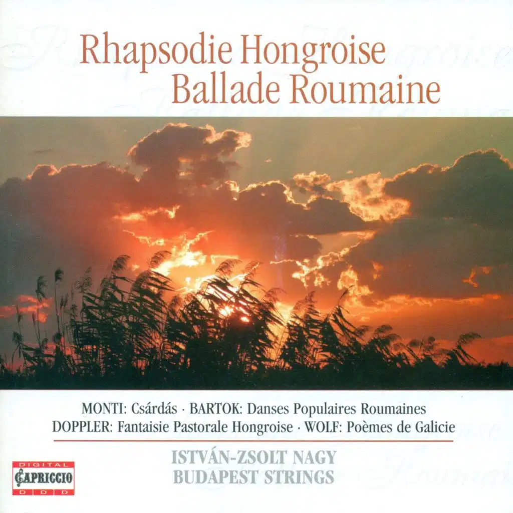 Maria durch ein' Dornwald ging