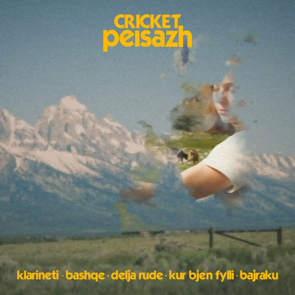 Cricket