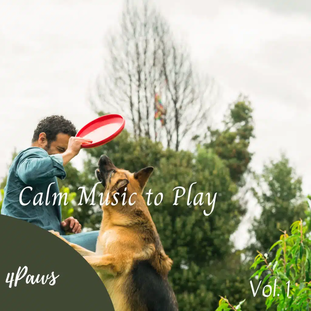 4Paws: Calm Music to Play Vol. 1