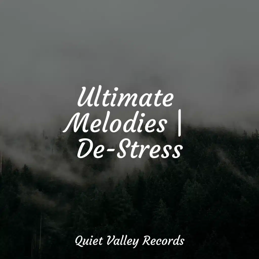 Ultimate Melodies | De-Stress