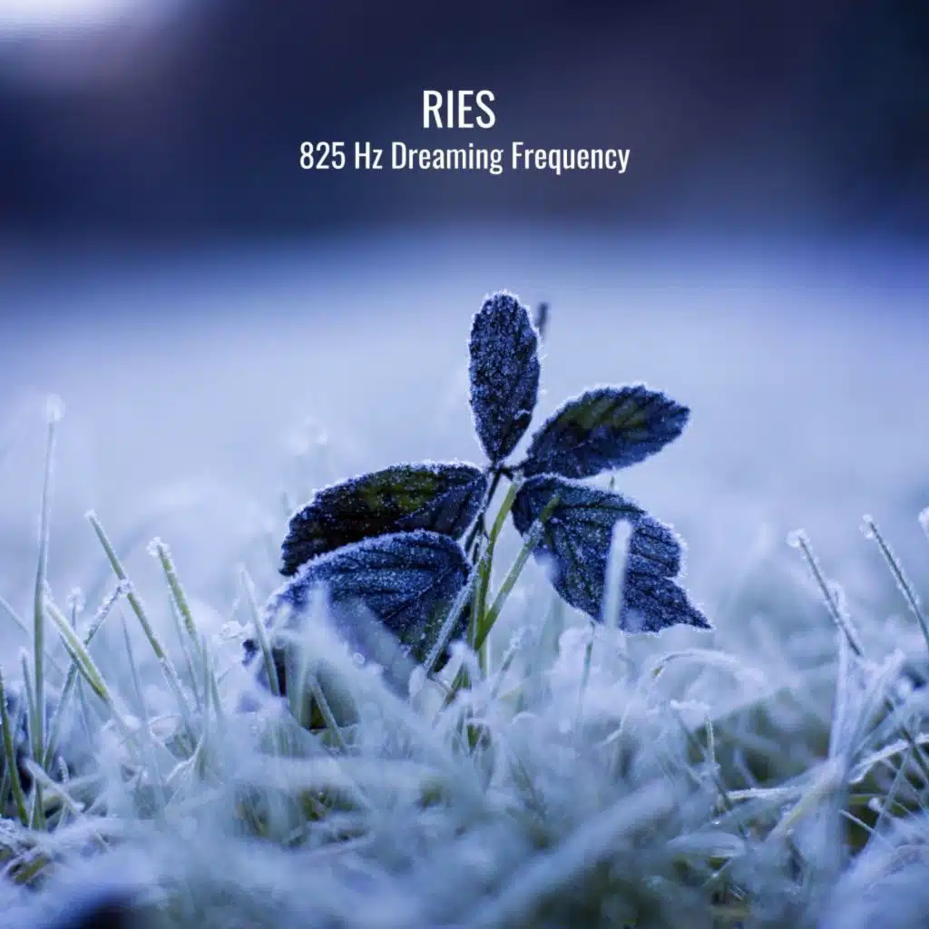 528 Hz Dreaming Frequency