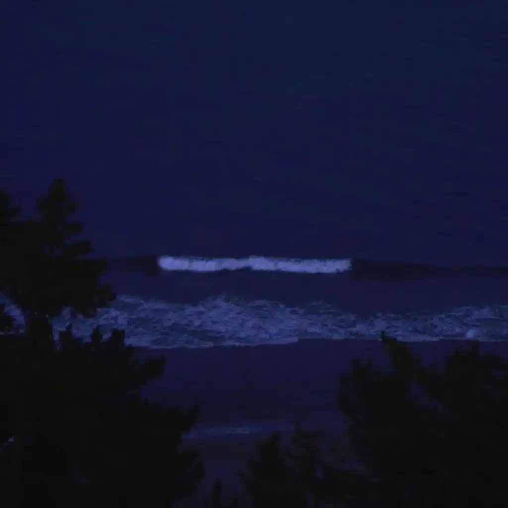 losing interest (sped up)