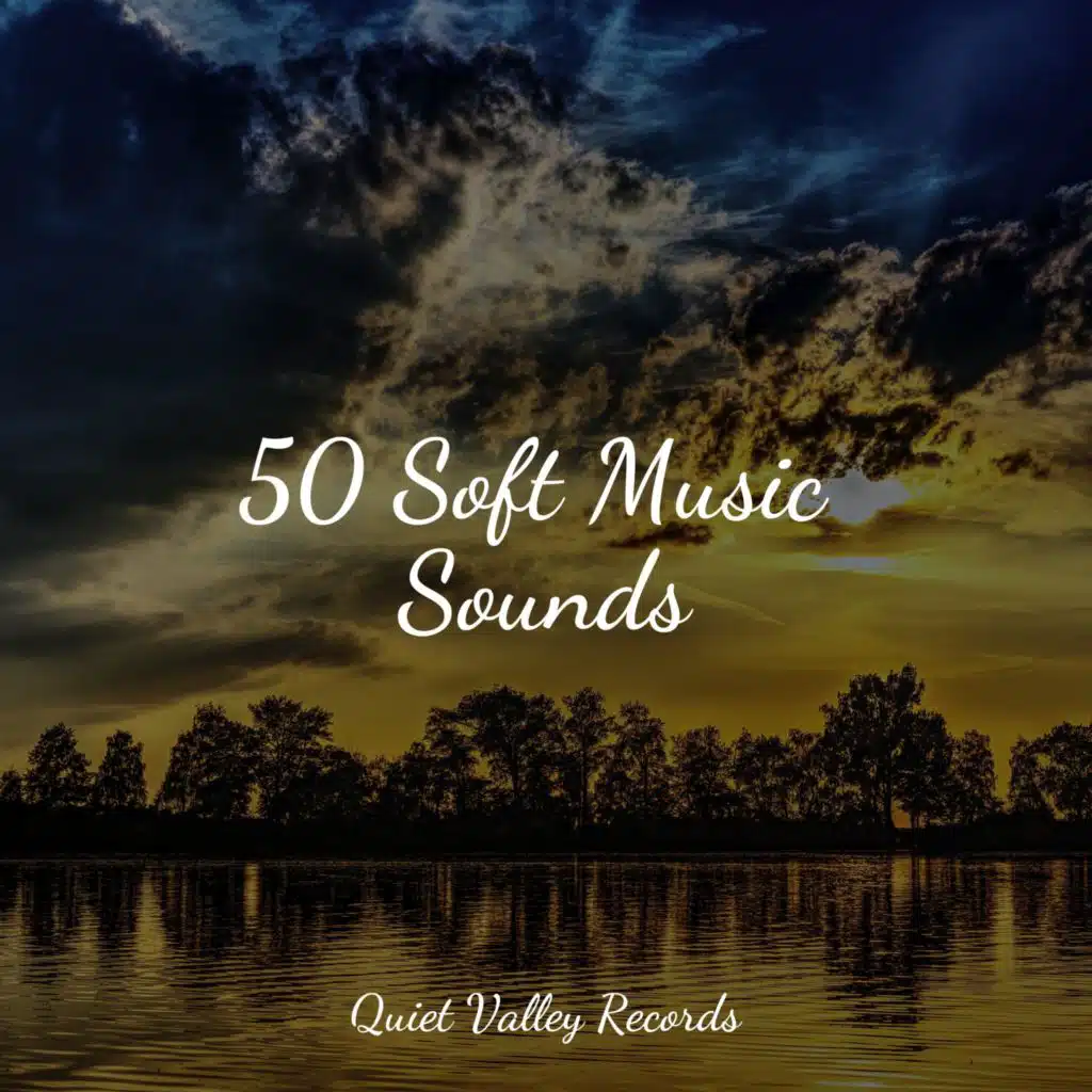 50 Soft Music Sounds
