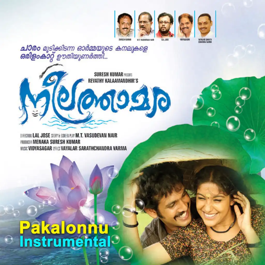 Pakalonnu (Instrumental)