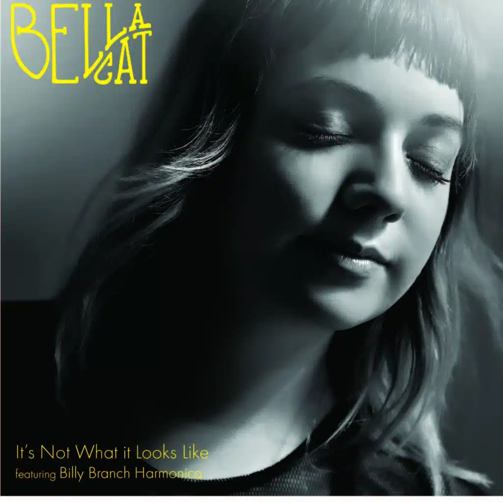 It's Not What It Looks Like (feat. Billy Branch)