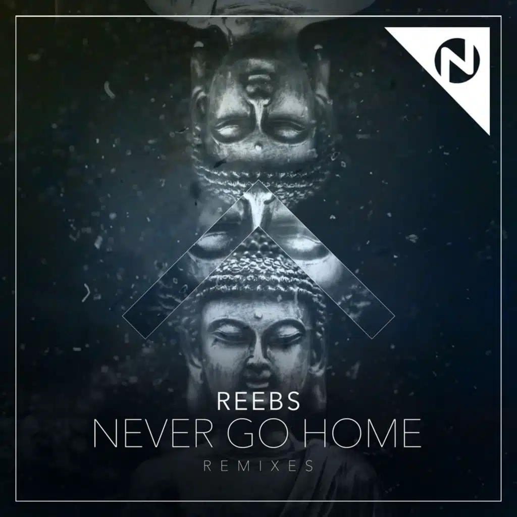 Never Go Home (Remixes) [feat. Nomi]