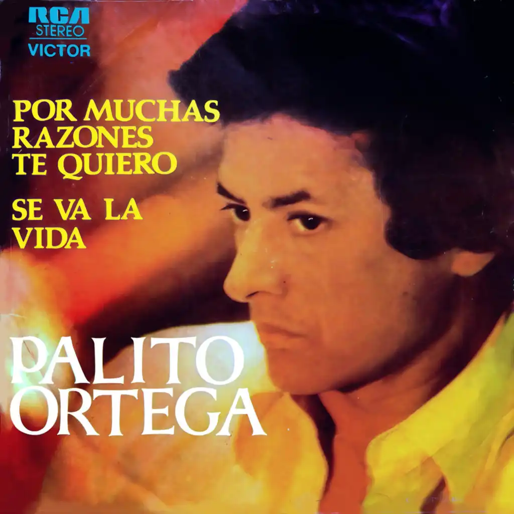 Palito Ortega