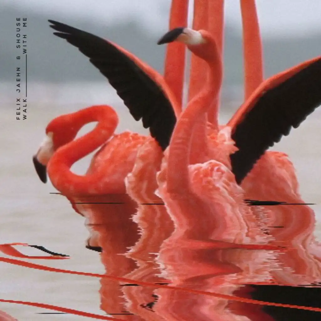 Felix Jaehn & Shouse