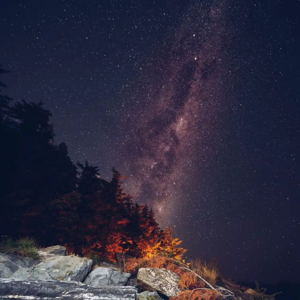 Leo Motta, Blood Beatz & Walter Villaça