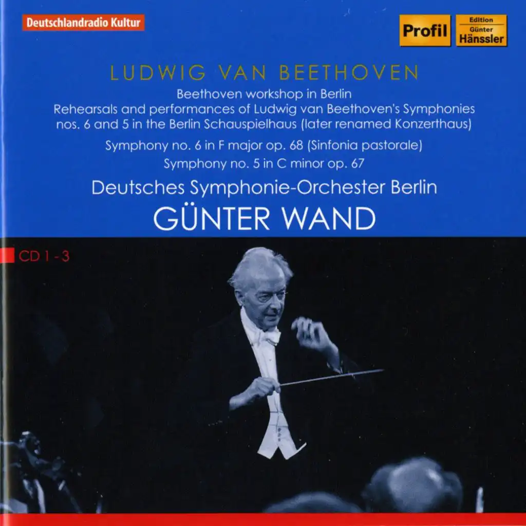 Symphony No. 5 in C Minor, Op. 67: III. Allegro