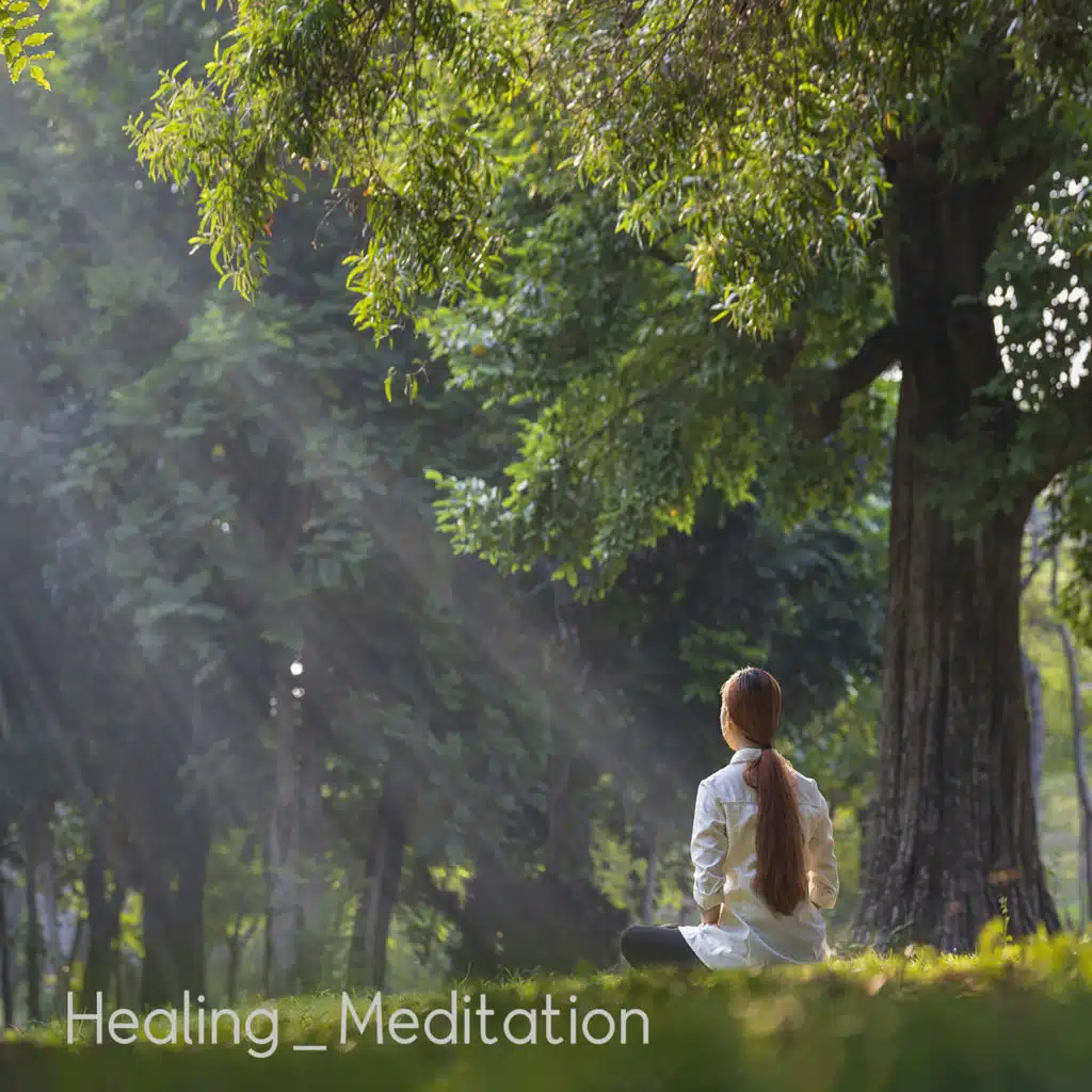피톤치드 숲속에서 (피아노) (숲소리)