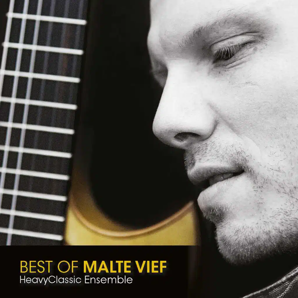 Best of Malte Vief