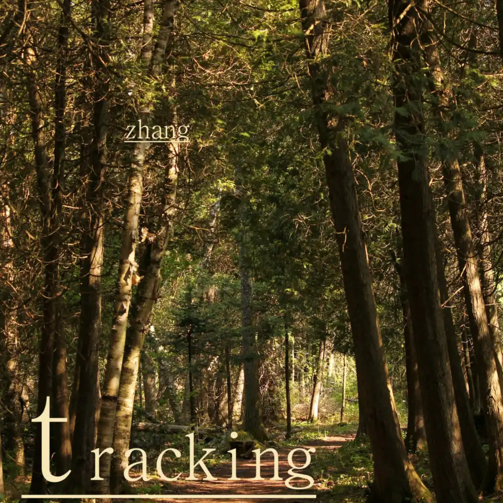 Tracking