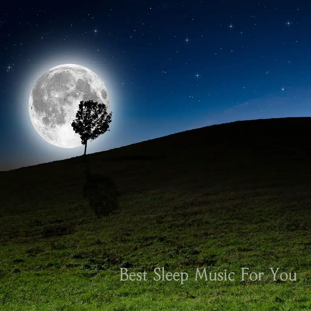 휴식의 숲 (피아노)