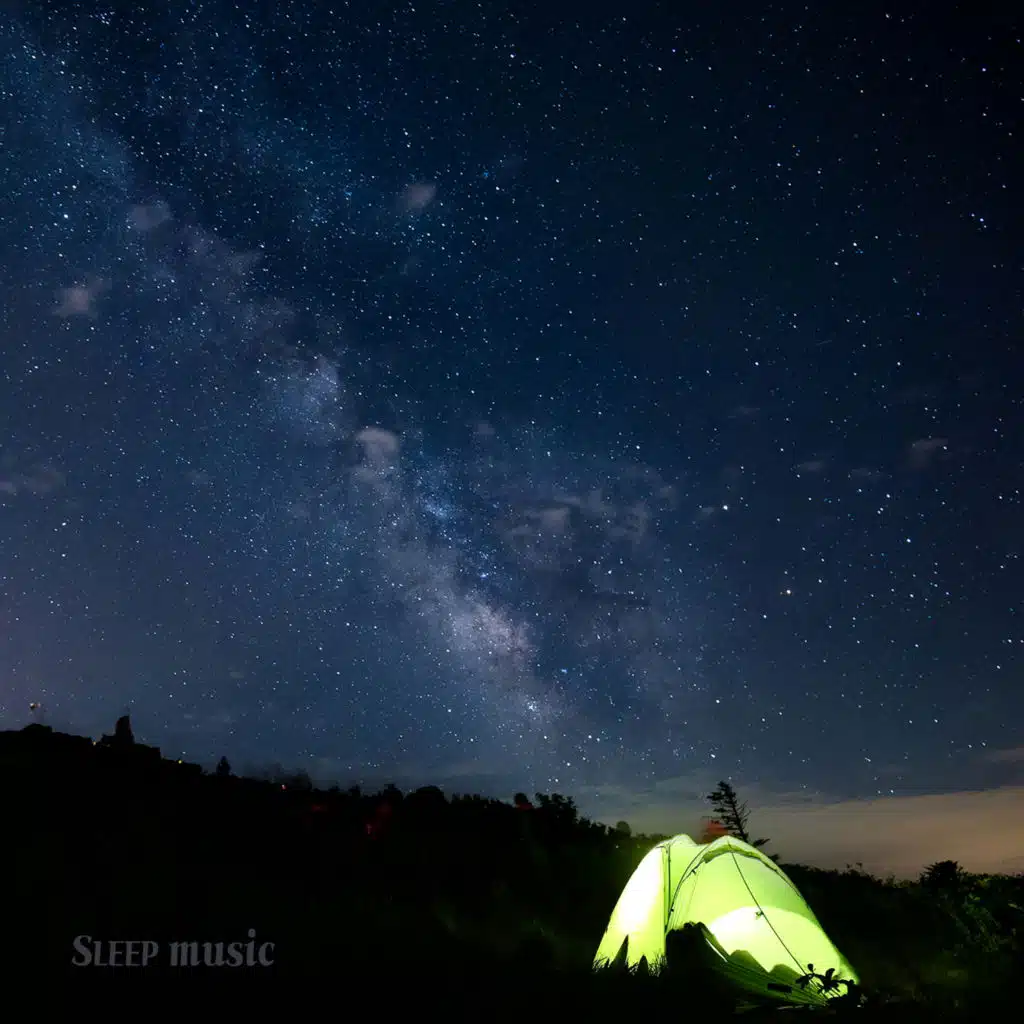 라임라이트, 어반 포레스트 & 멜로디 이펙트