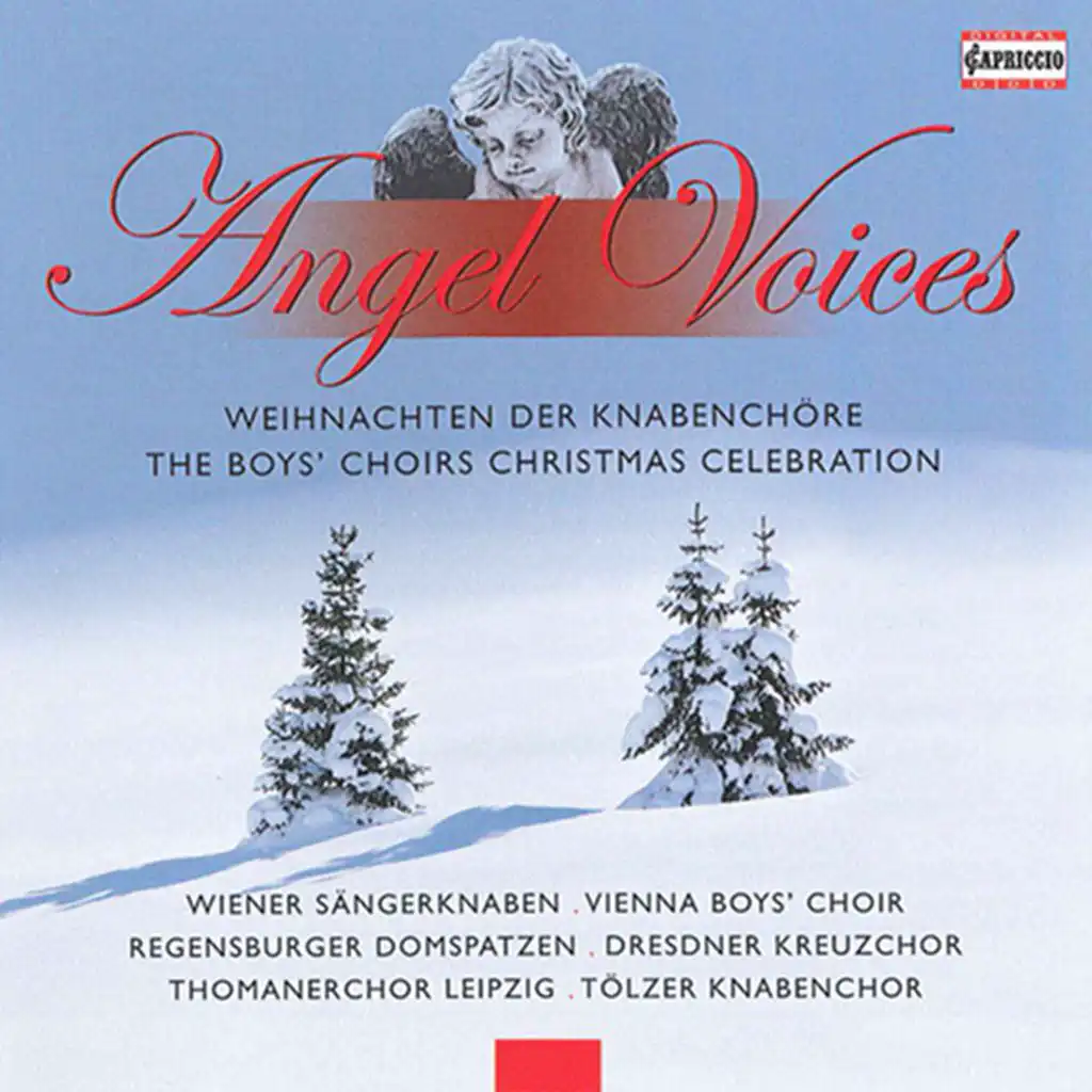 Angel Voices: The Boys' Choirs Christmas Celebration