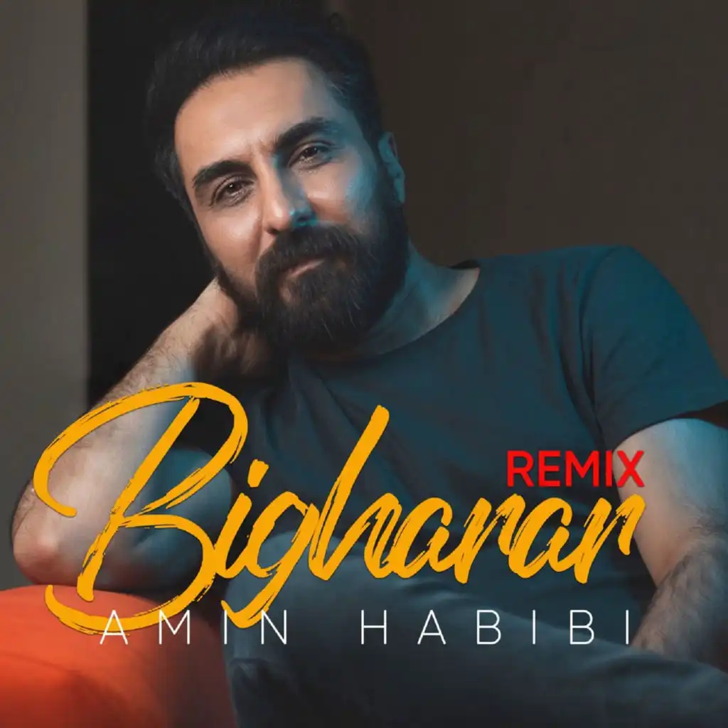 Bigharar (Remix) [feat. Amin Habibi]