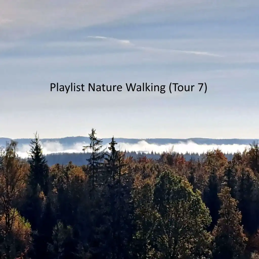 Clapshots in Hard Nights (Vocal Mix)