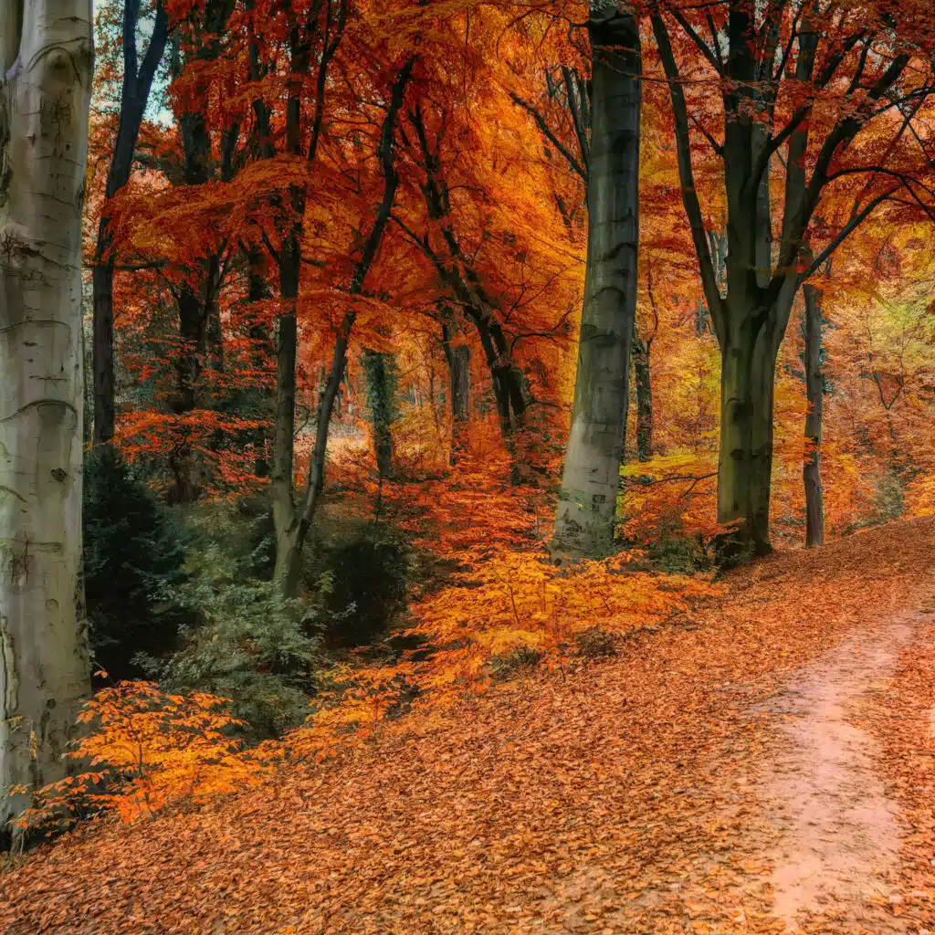 Autumn (Slowed & Reverb) [feat. Austin Farwell]