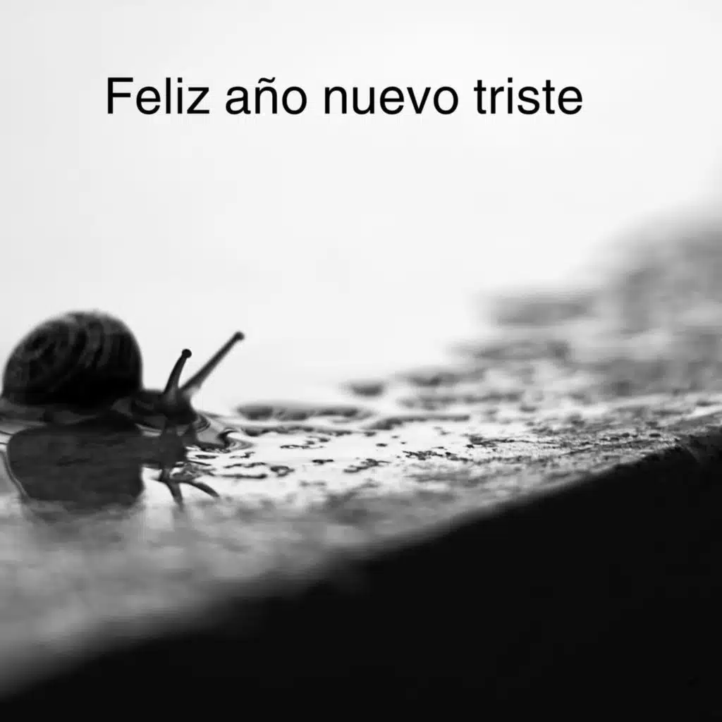 Feliz año nuevo triste