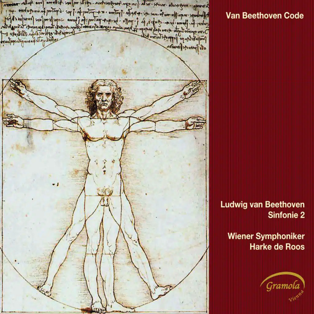 Symphony No. 2 in D Major, Op. 36: II. Larghetto