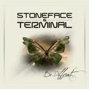 We Own the Night (Stoneface & Terminal Album Mix)