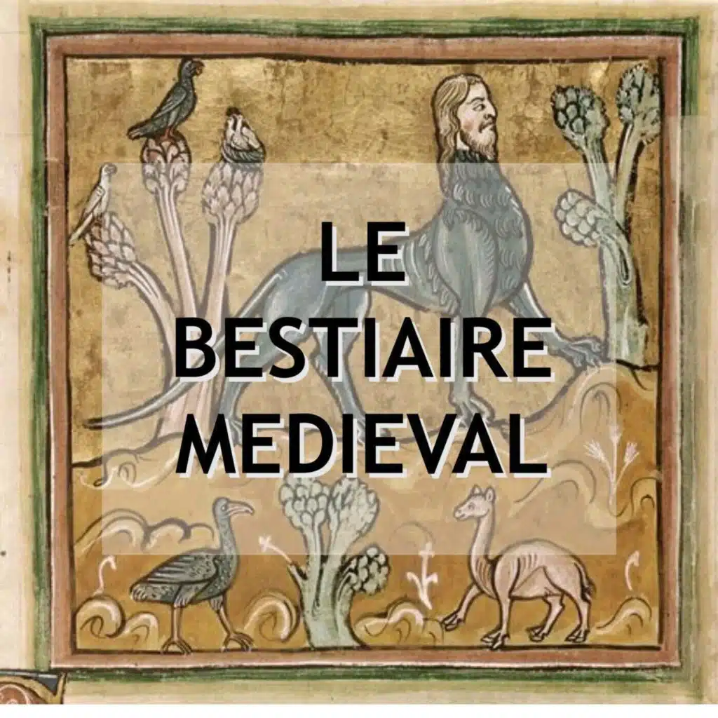 Bestiaire Médiéval : le Cheval - 5/7 
