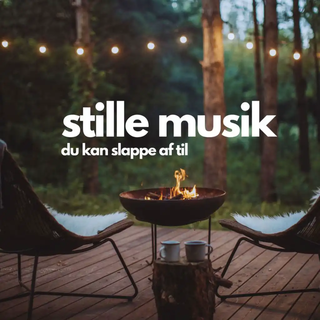 Stille Musik - Du kan slappe af til