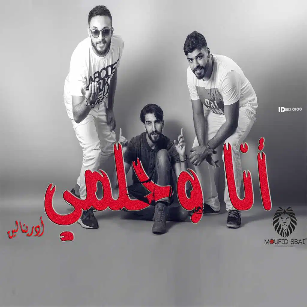 أنا و حلمي‎