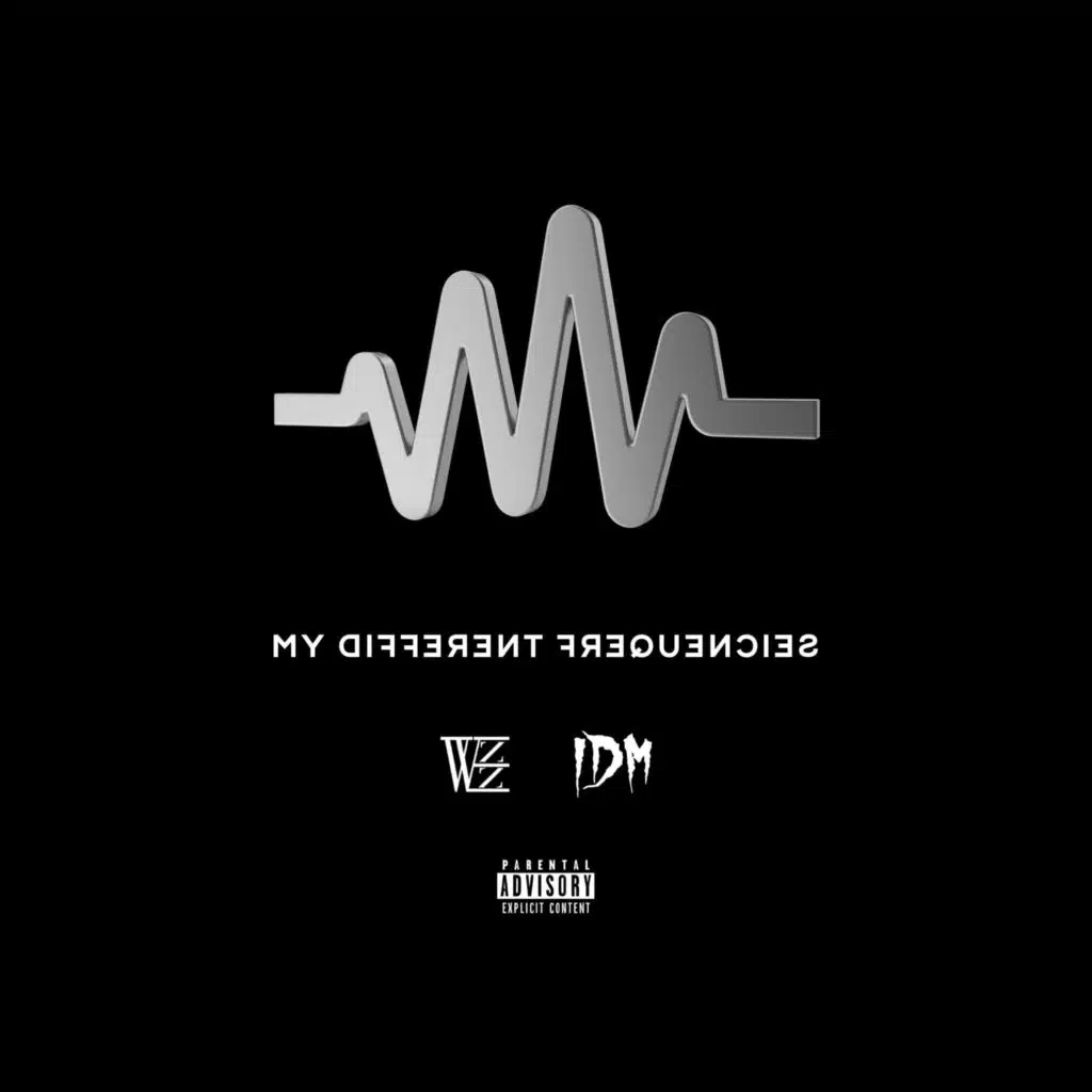 M.D.F. (My Different Frequencies)