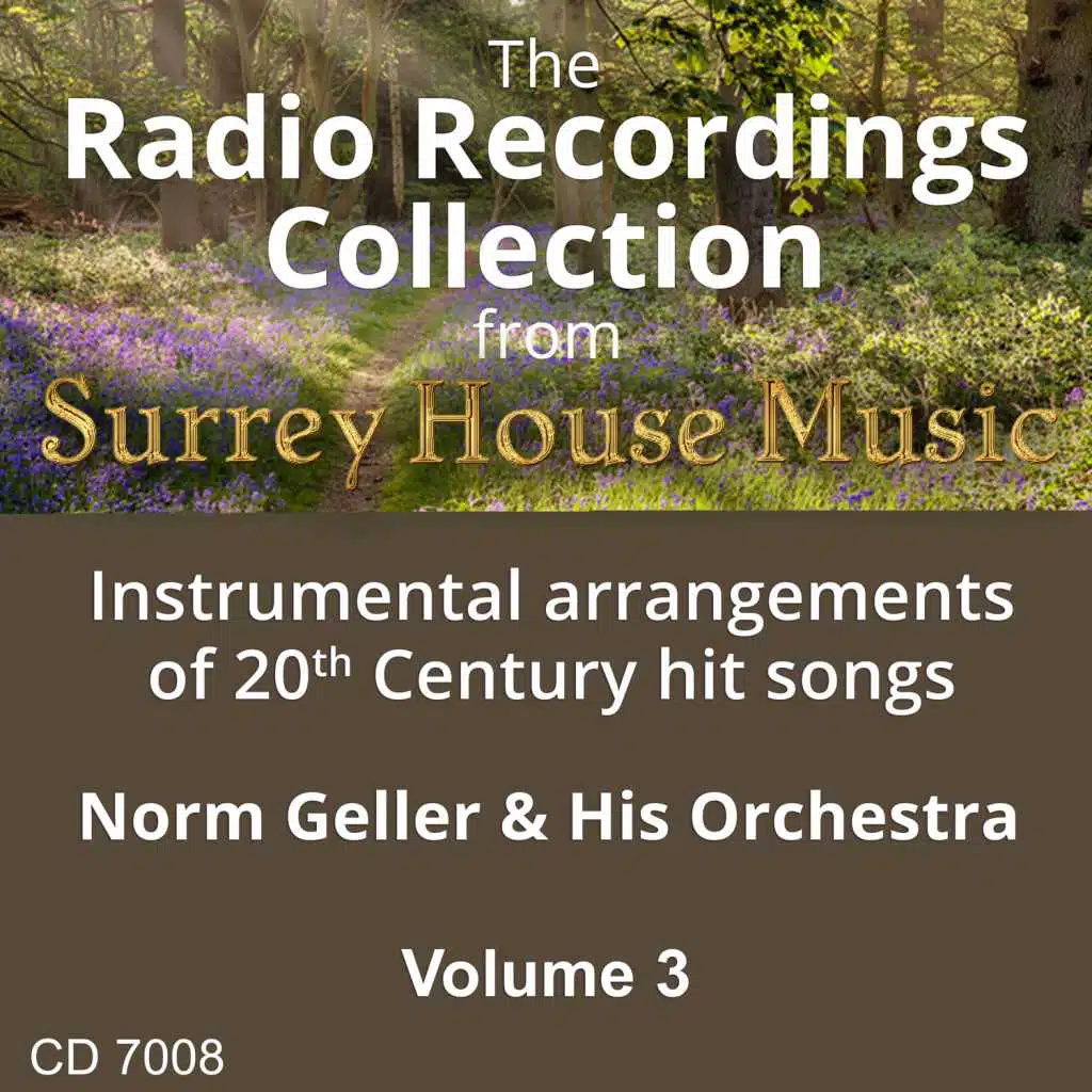 Norm Geller & His Orchestra, Vol. 3