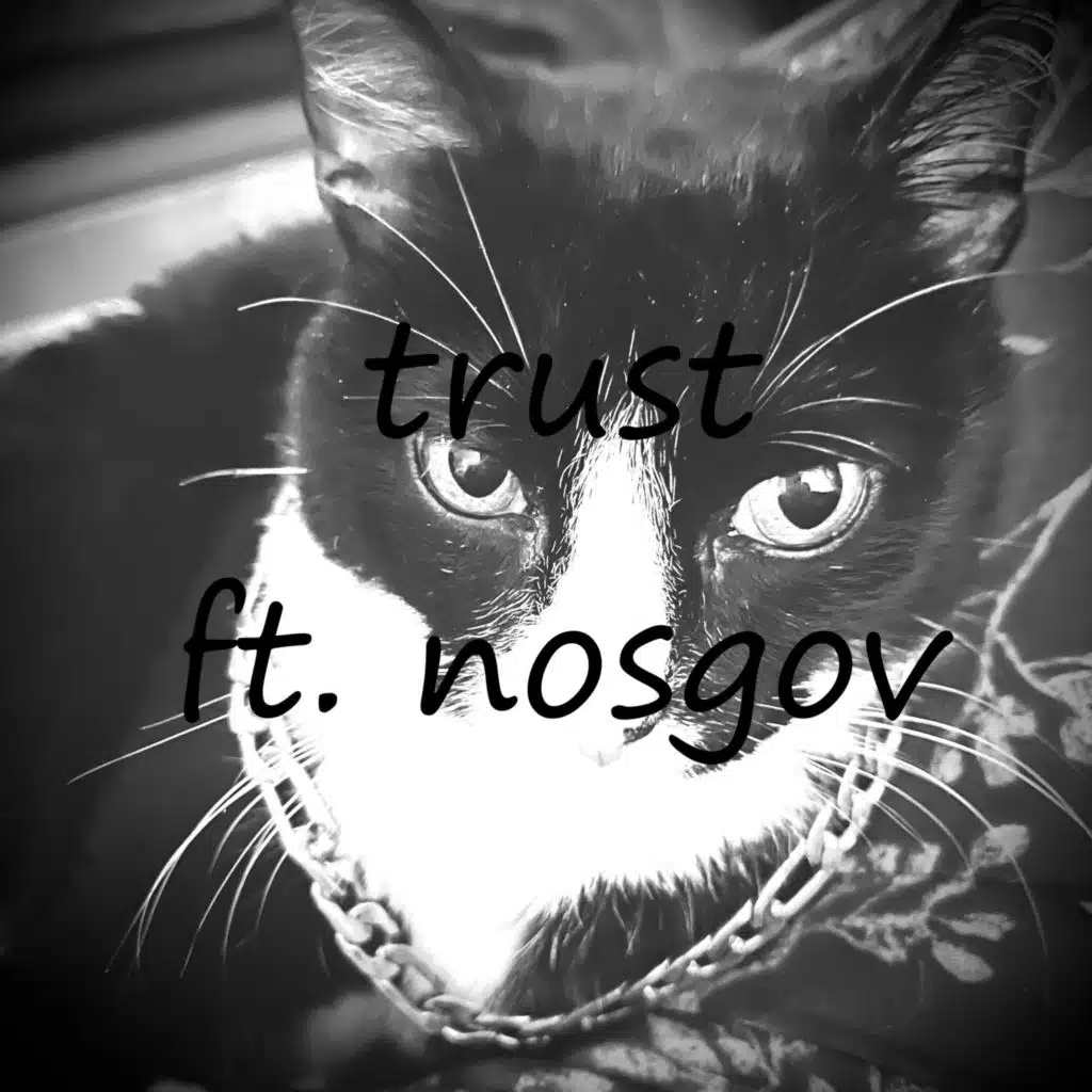 trust (feat. Nosgov)