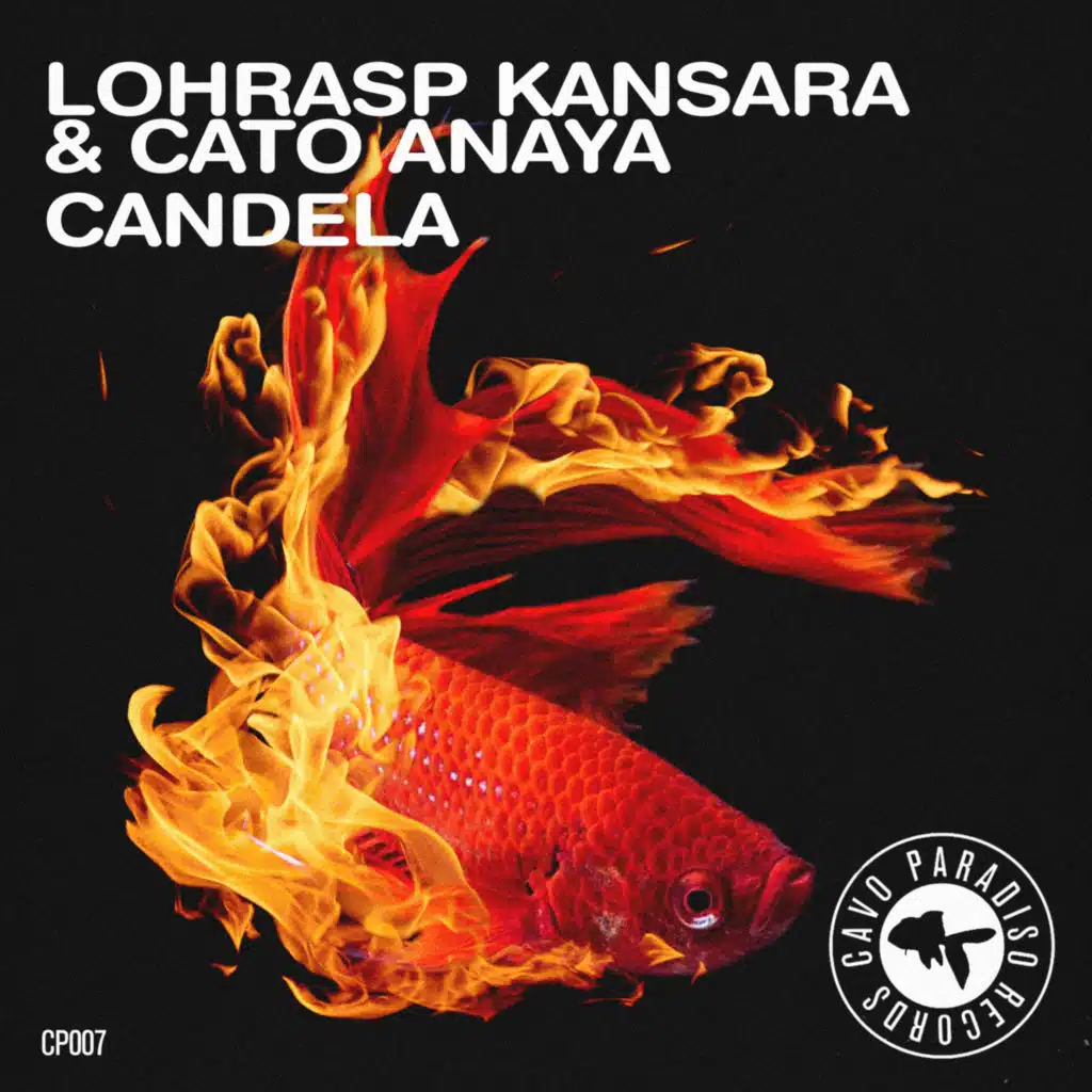 Cato Anaya & Lohrasp Kansara