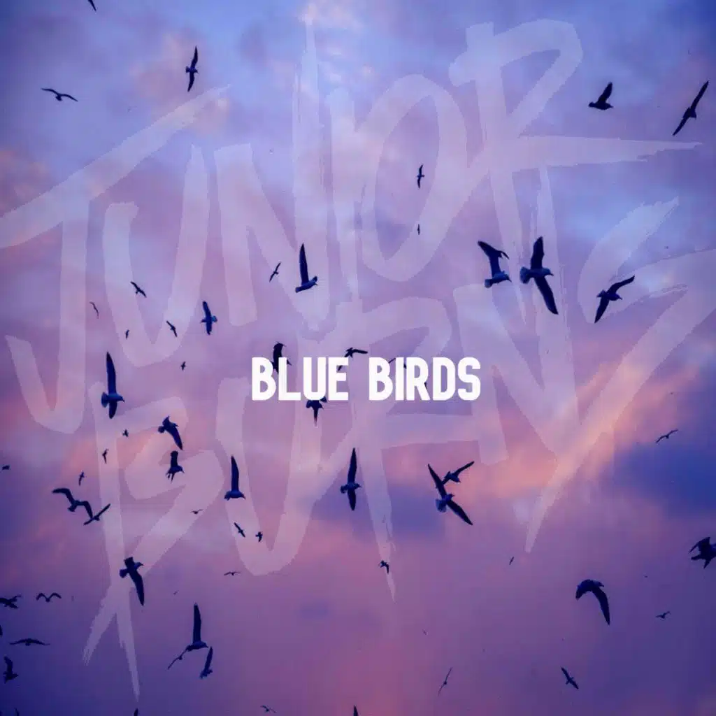 Blue Birds