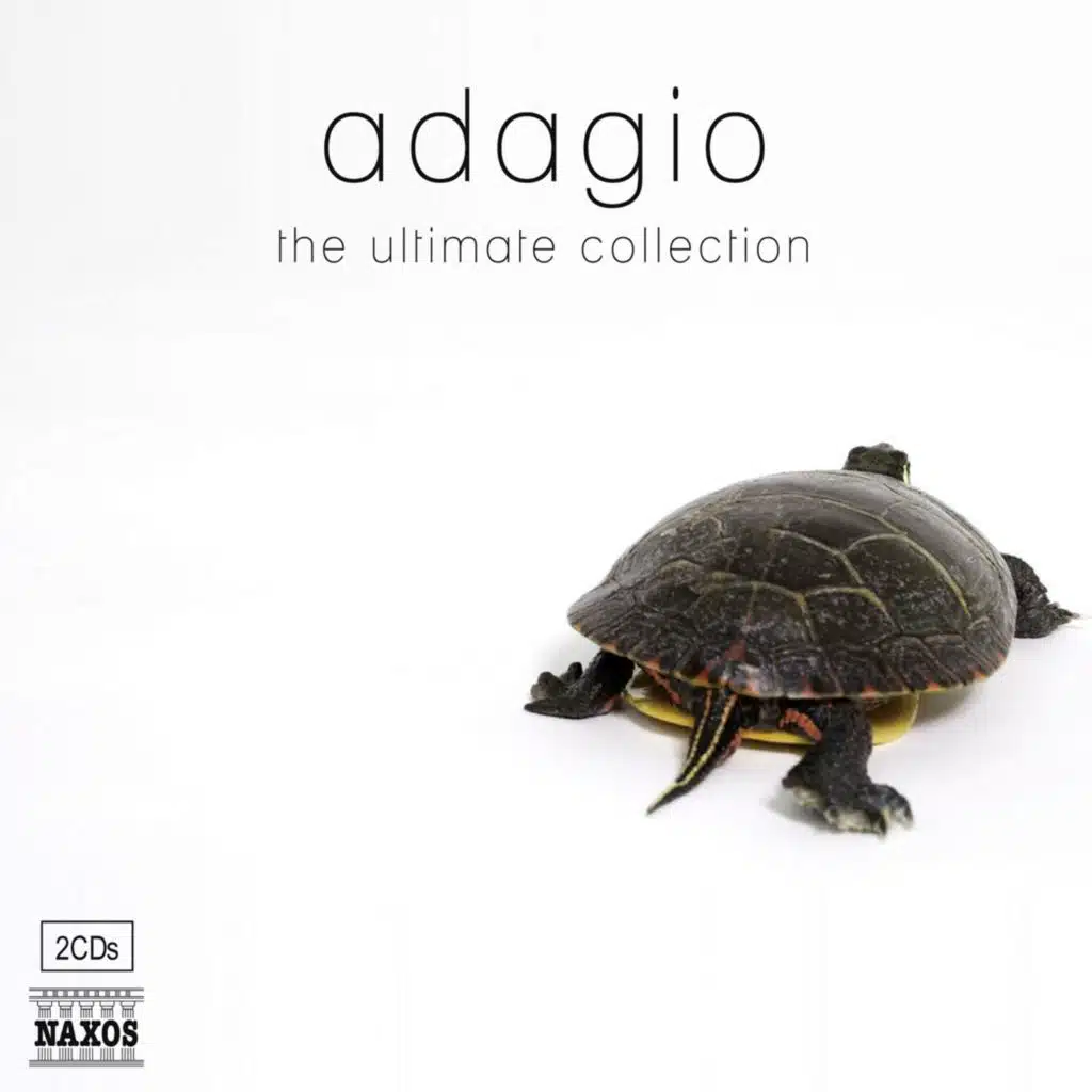 Adagio in G Minor (Attrib. to Albinoni)