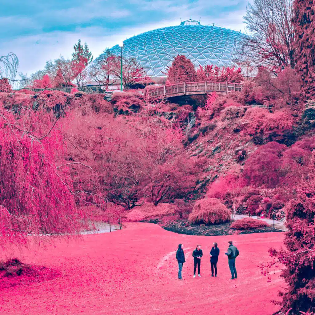 Fell In Love With New York